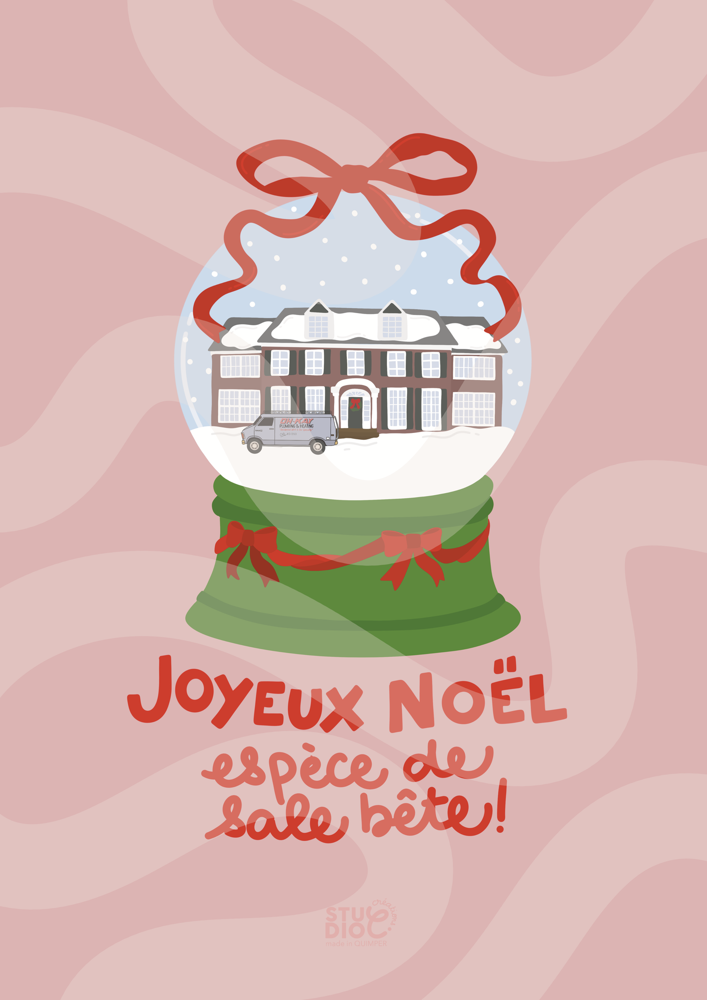 Joyeux Noël espèce de sale bête - Home alone