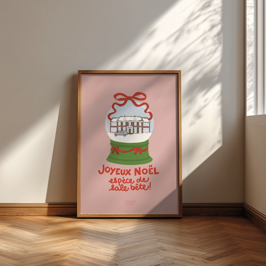 Joyeux Noël espèce de sale bête - Home alone